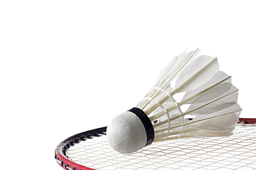 也离不开训 也离不开训